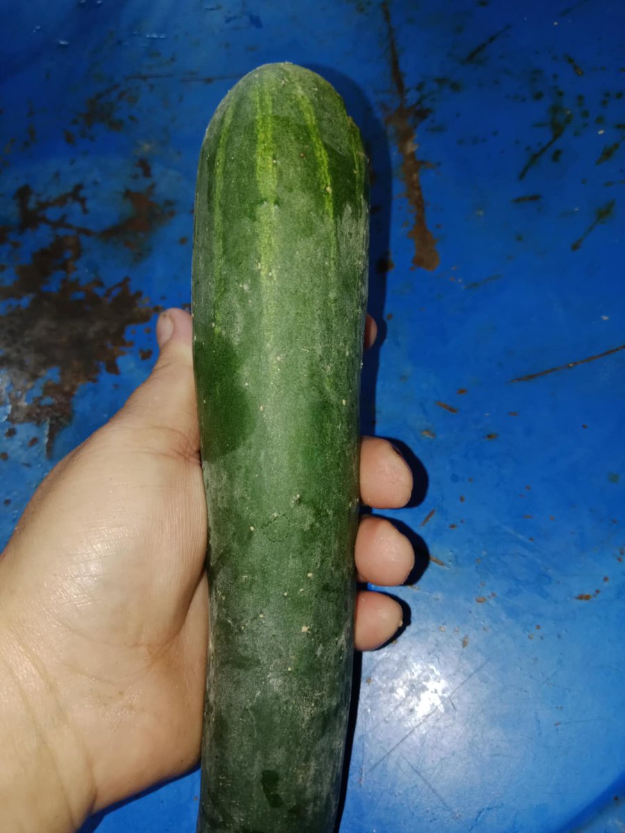 ນ້ອຍ ຮັບນັດ tweet media