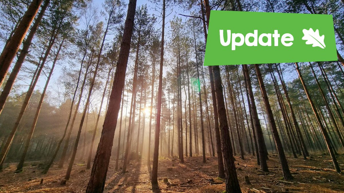 Rangers have been checking paths and facilities after the high winds, and are happy they will be safe for visitors to access tomorrow. 
Entrance gates to the car park will open from 8am Thursday 2nd January. Please note that some tracks and trails may be slippery.