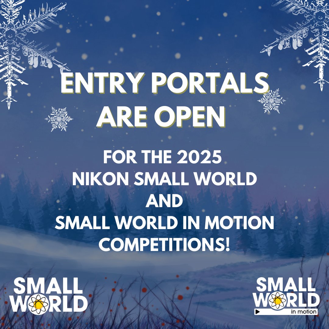 Happy New Year! Start 2025 strong by submitting your photos and videos to this year's #NikonSmallWorld and Small World in Motion competitions. Entry portals are open, and we can't wait to see your incredible work! 🌟➡ enter.nikonsmallworld.com