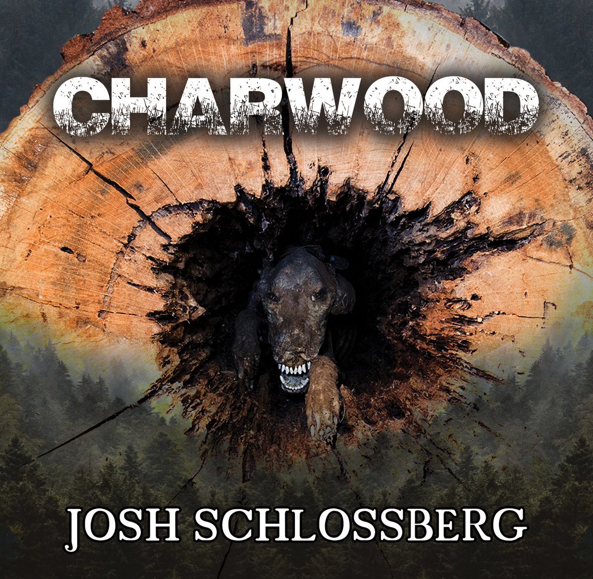 It's the seventh day of Channukah and we have our next ebook!

CHARWOOD by Josh Schlossberg!

An ecological Jewish folk horror novel 5,783 years in the making.

madnessheart.press/product/charwo…