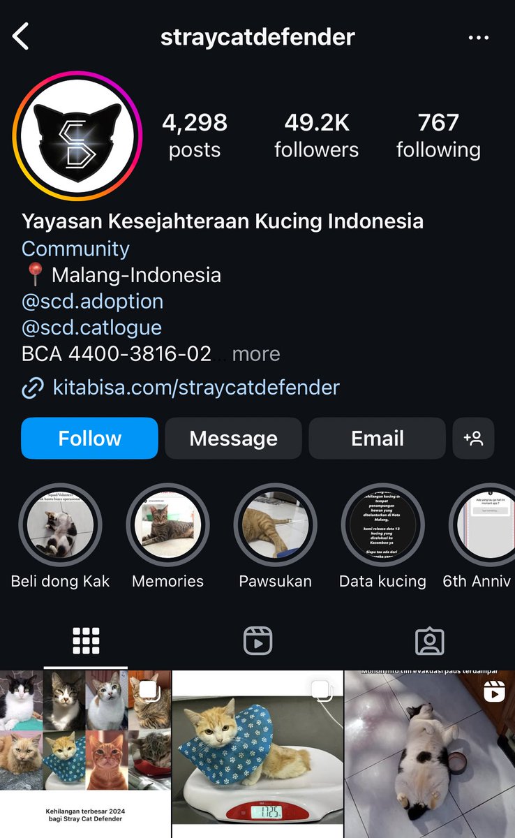 halogupi's tweet photo. As a token of our appreciation towards Gulf and to greet the new year 2025, We are donating proceeds to Straycatdefenders to help aid for stray cats in need in Indonesia under his name.🐱

Wishing everyone a happy new year 🥳

#GulfKanawut 
#กลัฟคณาวุฒิ https://t.co/TCxERRNooE