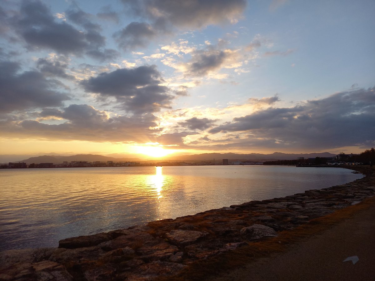 2025 愛する🐶と初日の出
今年も宜しくお願いします