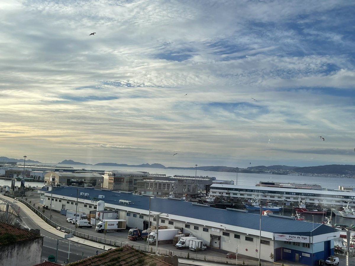 Antía Castedo tweet media