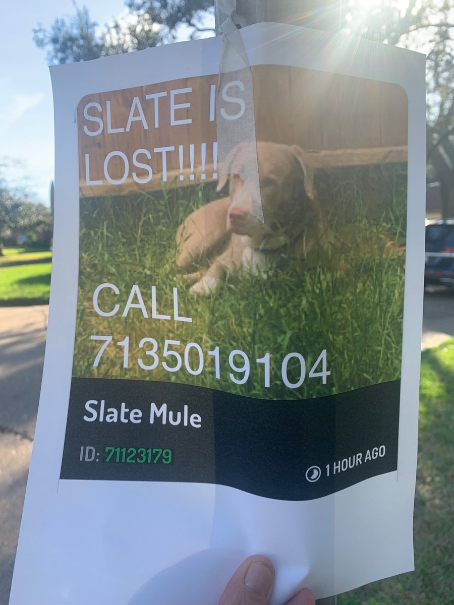 overfield49284's tweet image. #Houston #SpringBranch #LostDog

If seen, please call owner.