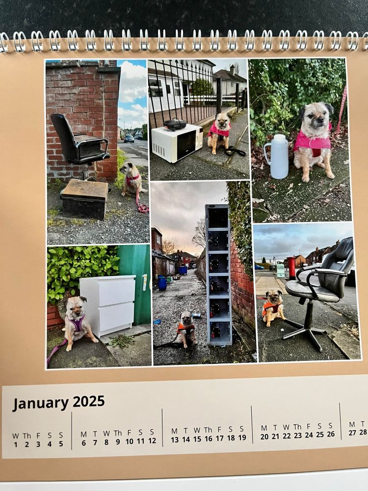 Diana D Designs (@ddcrochetdesign) on Twitter photo I love my calendar so much ๐๐คฃ
Her expressions, the captions and the hilarious junk
Thank you both so much and super Heidi ๐ฅฐ
<a href="/misheleneous/">MisHelenEous | Gifts for Home & Hound</a> <a href="/steelygreyste/">stephen rogers</a> I love my calendar so much ๐๐คฃ
Her expressions, the captions and the hilarious junk
Thank you both so much and super Heidi ๐ฅฐ
<a href="/misheleneous/">MisHelenEous | Gifts for Home & Hound</a> <a href="/steelygreyste/">stephen rogers</a>