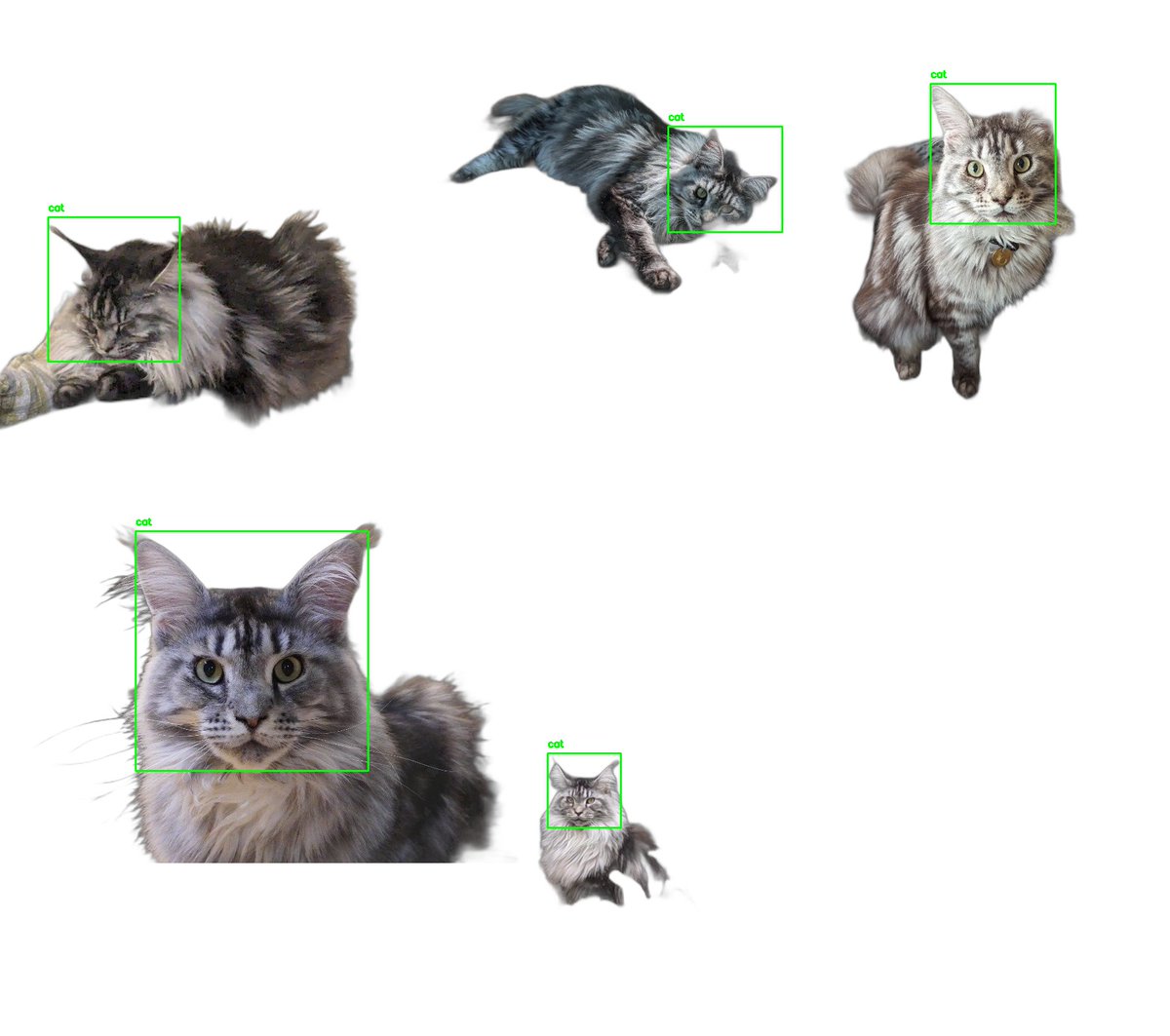 damianpolan's tweet photo. After days of struggle, I was finally able to reliably detect cat/animal facies thanks to this glorious cat/dog dataset (see comments). Feels great! https://t.co/7tJvMoDzqJ