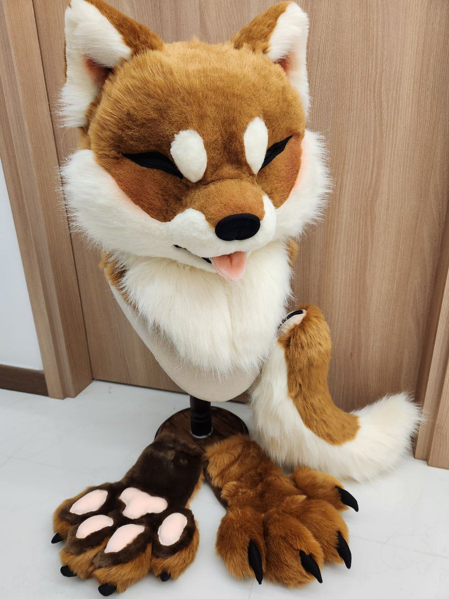 Shiba Sable colour Partial up for adopts
thedealersden.com/listing/shiba-…
Brand New, details in the link description
