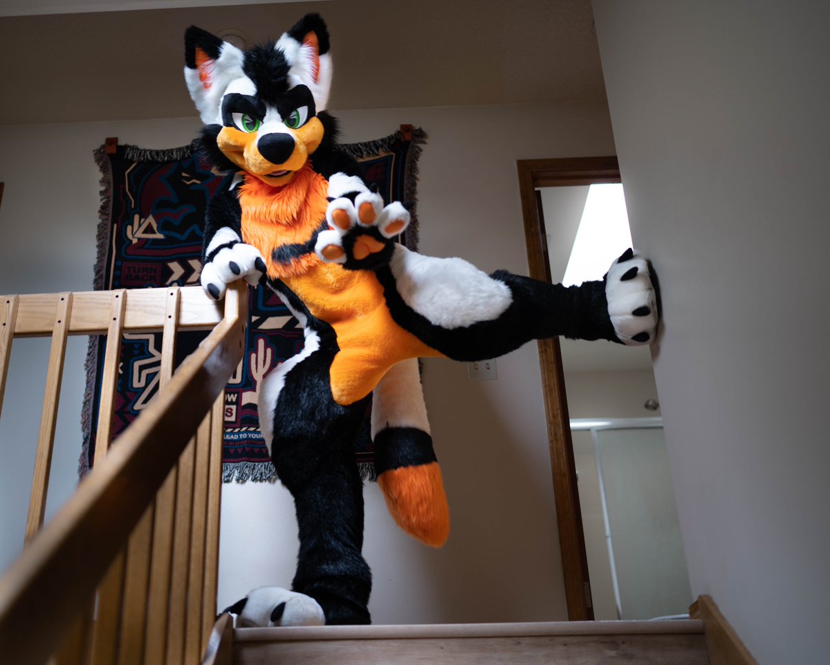 You shall not pass! 
📸 by cobaltdecarrots