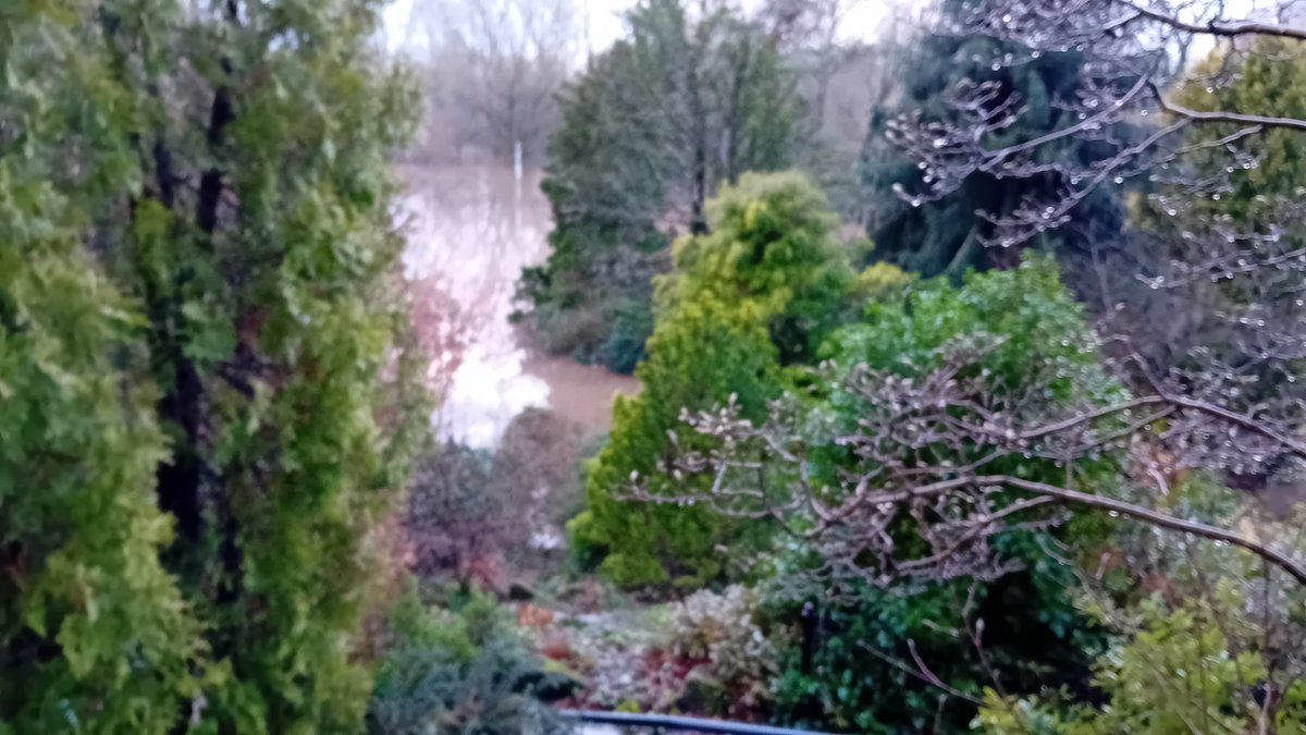 Fletcher Moss Park, Didsbury. Or possibly the Amazon rain forest!