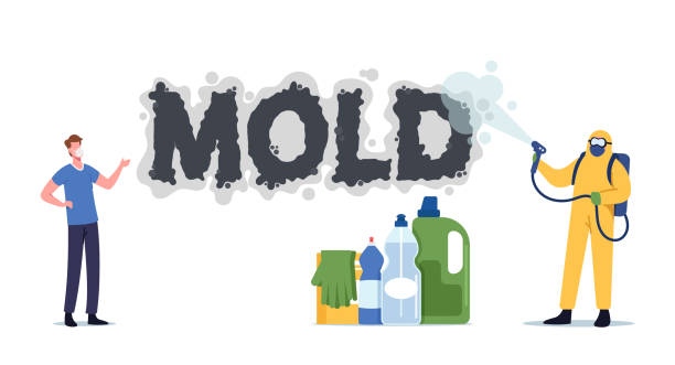 Mold is a serious problem that requires professional attention. Let St. Louis Cleaning and Restoration take care of it for you. Contact us today at stlouiscleaningandrestoration.com to schedule a service.
