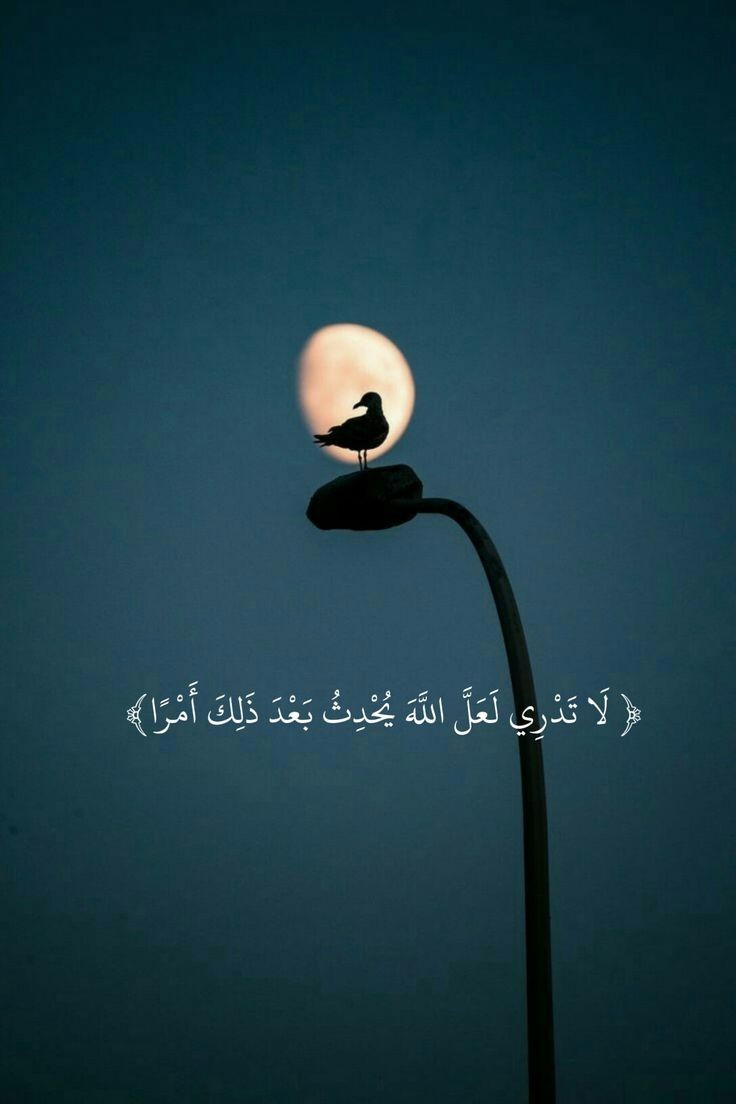 motm2na_'s tweet photo. لَا تَدْرِي لَعَلَّ اللَّهَ يُحْدِثُ بَعْدَ ذَٰلِكَ أَمْرًا🤍.. https://t.co/zDaelX8P3I