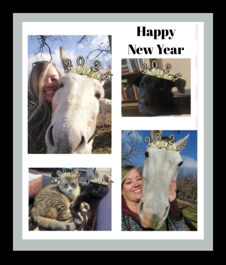 We hope your 2025 is a fabulous year filled with tons of treats and love!!! 😊💛🎉 🎉 🎉 

#HappyNewYear #Celebrate #DieselDollyAndADonkeyNamedBill #DieselAndBill #Dolly #Arty #Curty #FarmLife #CountryLife #Grateful