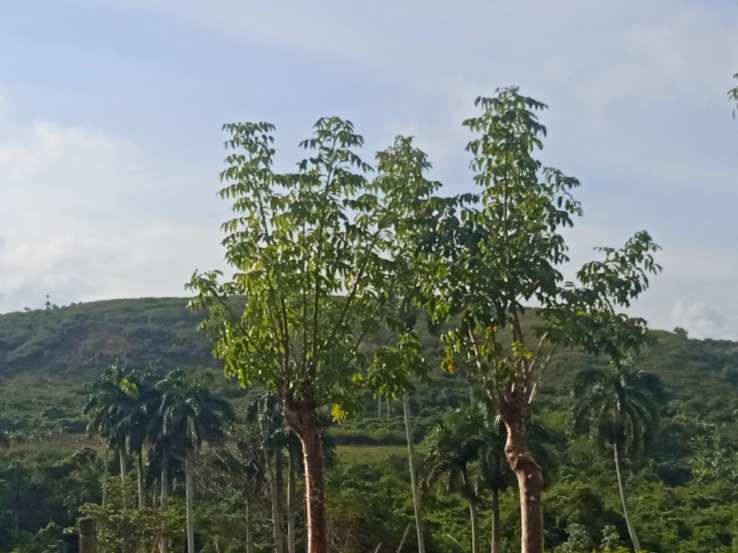 Marrinez780726's tweet photo. Siempre que existan personas de bien, la humanidad estará salvada.
#CubaEsAmor #CubaPorLaVida
 #ConLaFuerzaDeLaUnidad #66AñosEnRevolución Por🇨🇺TodoMi❤️   #YoAmo🇨🇺 @0Toblerone82904 @AbelPrieto11 @Acero2704 @AdrianaRojasQba @agnes_becerra @Agramontinof @alaiaguilar12d @Aleidacr84 https://t.co/4U0WbqoOEH