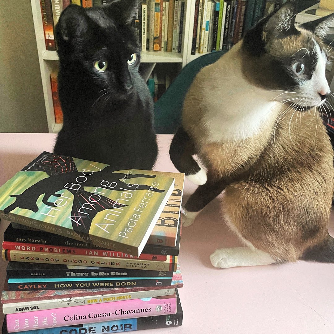 SelenaMercuri's tweet photo. Some of my 2024 favourites brought to you by two guilty-looking clowns trying to pretend they didn’t just mess up my stack of books. #2024 #newyear #books #canlit #writerscommunity https://t.co/GU9VVbupP7