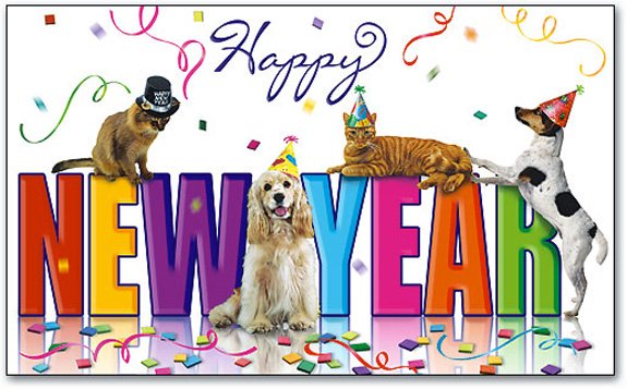 PawprintsPR13's tweet photo. From all of us at PPR to all of you...HAPPY NEW YEAR!  May 2025 be the best year yet! #2025newyear #RescueIsMyFavoriteBreed https://t.co/XAAkdHfdNf