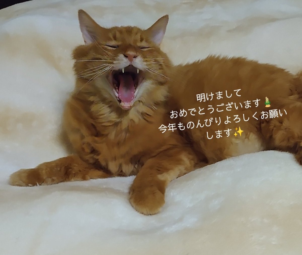 今年もよろしくお願いします❗️
インフルエンザ、コロナすごいです💦
うつらないように手洗い🖐️うがいだね