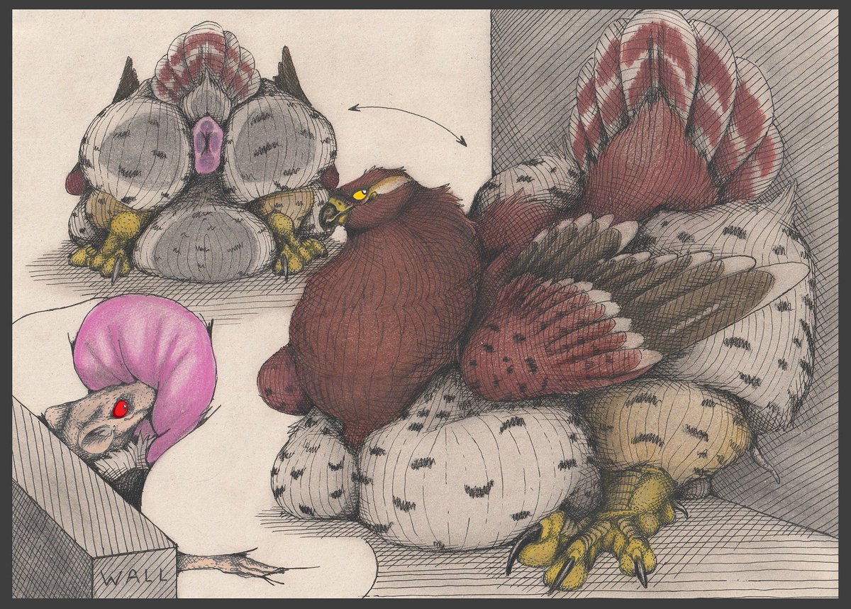 Stinky Rata (@gorie21837631) on Twitter photo 