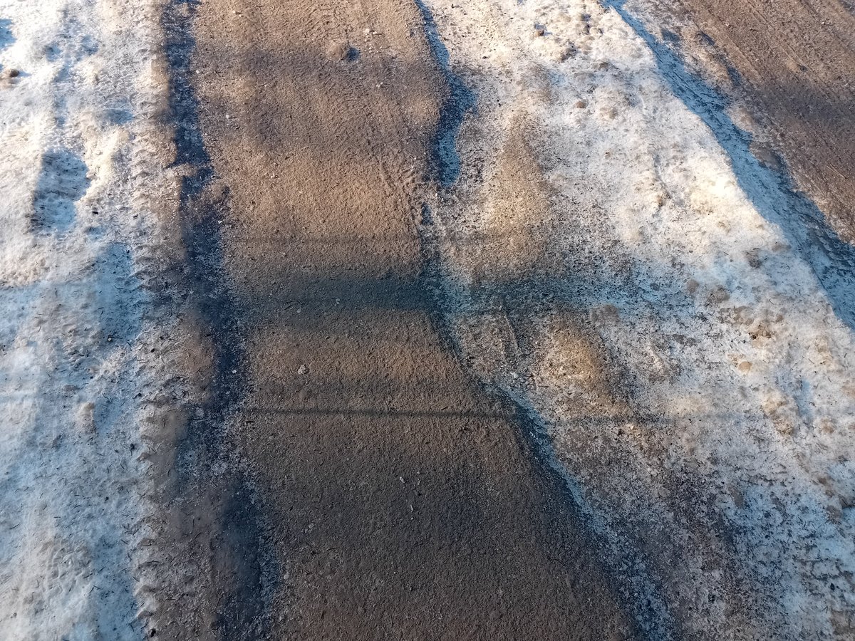 VVB_LJ's tweet photo. 1. I. 2025, 14:30

#ShadowPoem
Or rather #ShadowHaiku https://t.co/GbQAowWX8W