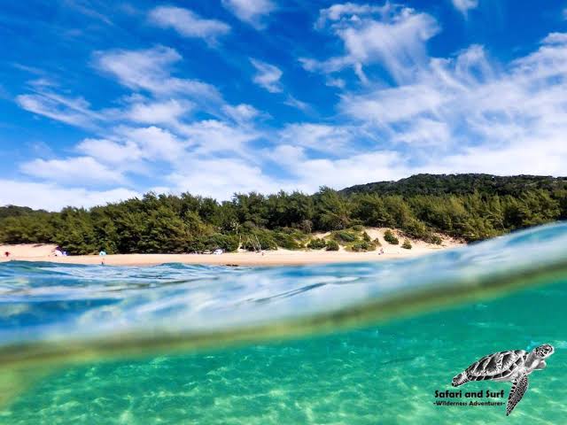 PretoriaNinja's tweet photo. Spring tide at Cape Vidal KZN, tomorrow morning... it's time for a snorkel expedition. South Africa you beauty!
#SnorkelCapeVidal
#MissionRocks
#IsimangalisoWetland https://t.co/MjnuTjdhq1