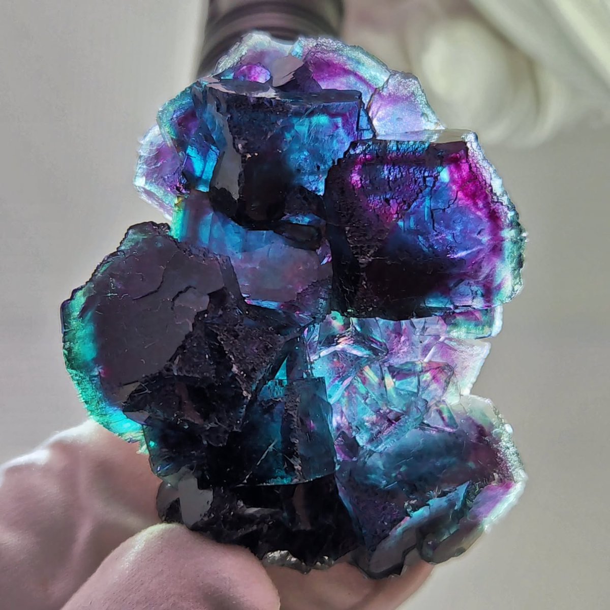 GeologyTime's tweet photo. Zoned fluorite crystals from the Okorusu Mine, Namibia, displaying a vibrant array of colors.

Photo: fantastic_fluorites https://t.co/0youmqrwf1