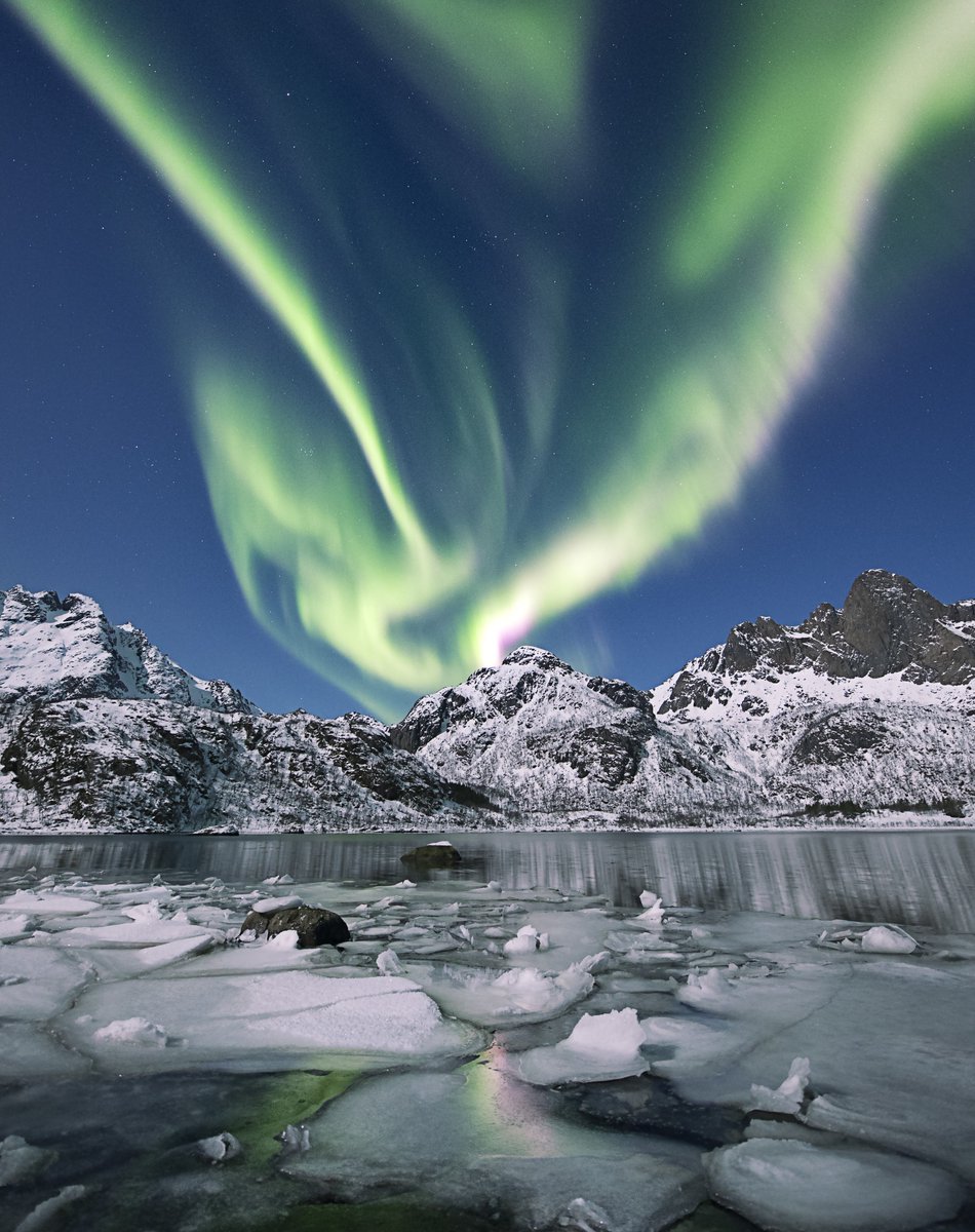 planingo_ai's tweet photo. Witness the ethereal dance of the Aurora Borealis in Greenland! 🌌✨ 
Go to PlaninGo to get a quick guide and itinerary to this otherworldly spectacle! 

#PlaninGo #TravelGoals #AuroraBorealis #GreenlandAdventures #NightSkyMagic #NorthernLights https://t.co/EL7cwodv3P