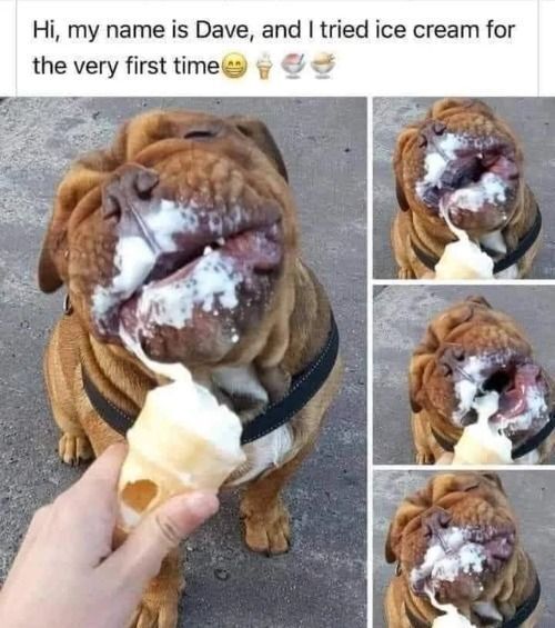 WholesomeMeme's tweet photo. https://t.co/W8hTF6QB34