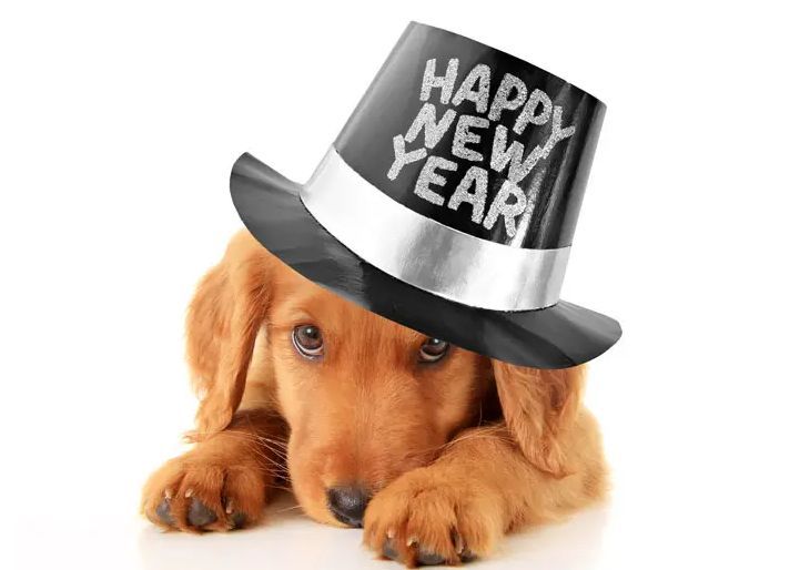 FremontHumane tweet media