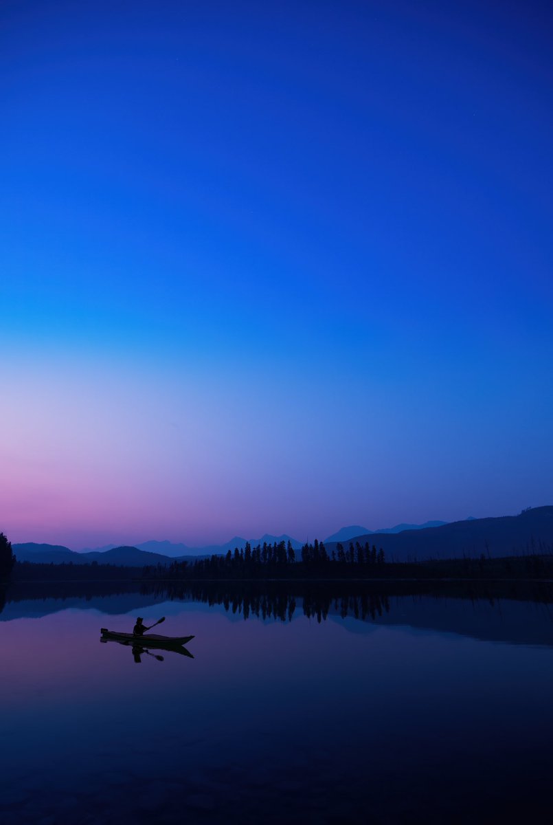 RandyMilanovic tweet media