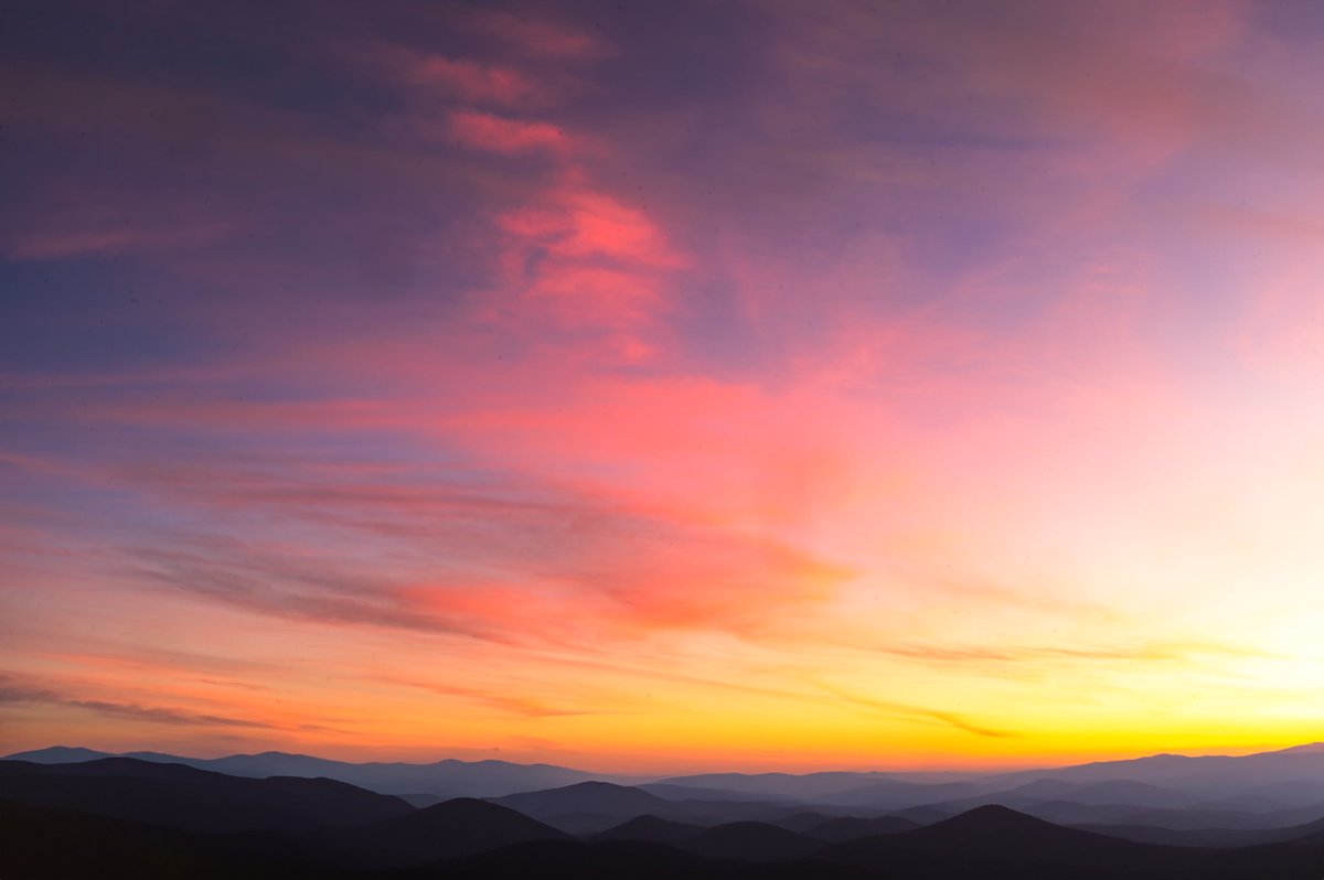 RandyMilanovic tweet media