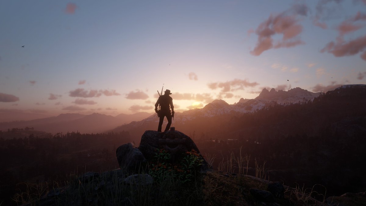 HectorPLZ tweet media