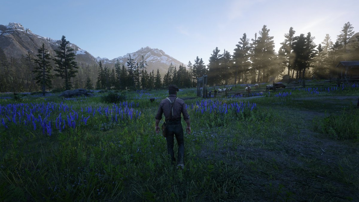 HectorPLZ tweet media