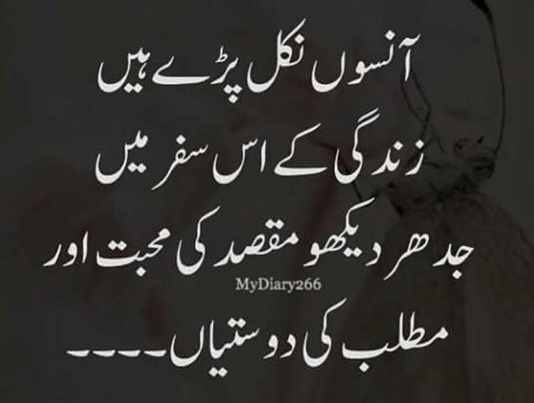 AhmarMunir191's tweet photo. مطلب کی بھری اس دنیا میں
نہ جانے کون سچا ہے
#Matlabilog https://t.co/prC61SMMFx