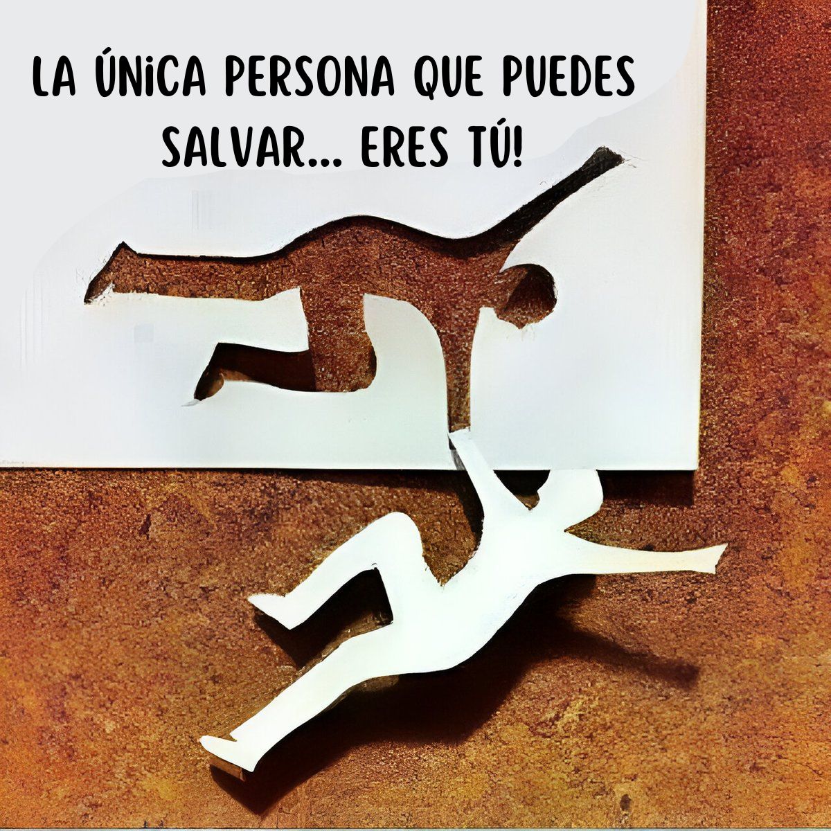 Javier Barciela tweet media