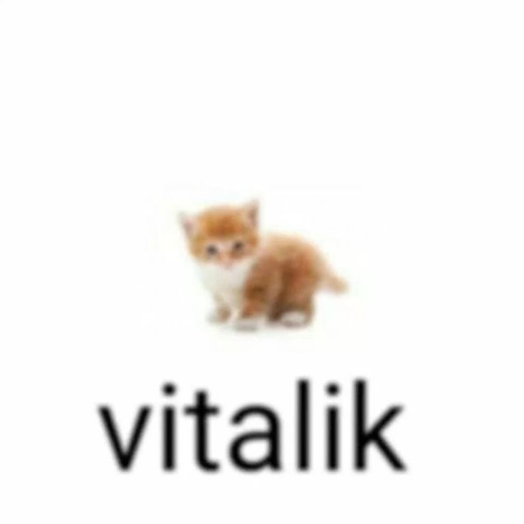 sarifps1's tweet photo. @flop_vox_king vitalik https://t.co/4DtMJRUKNC