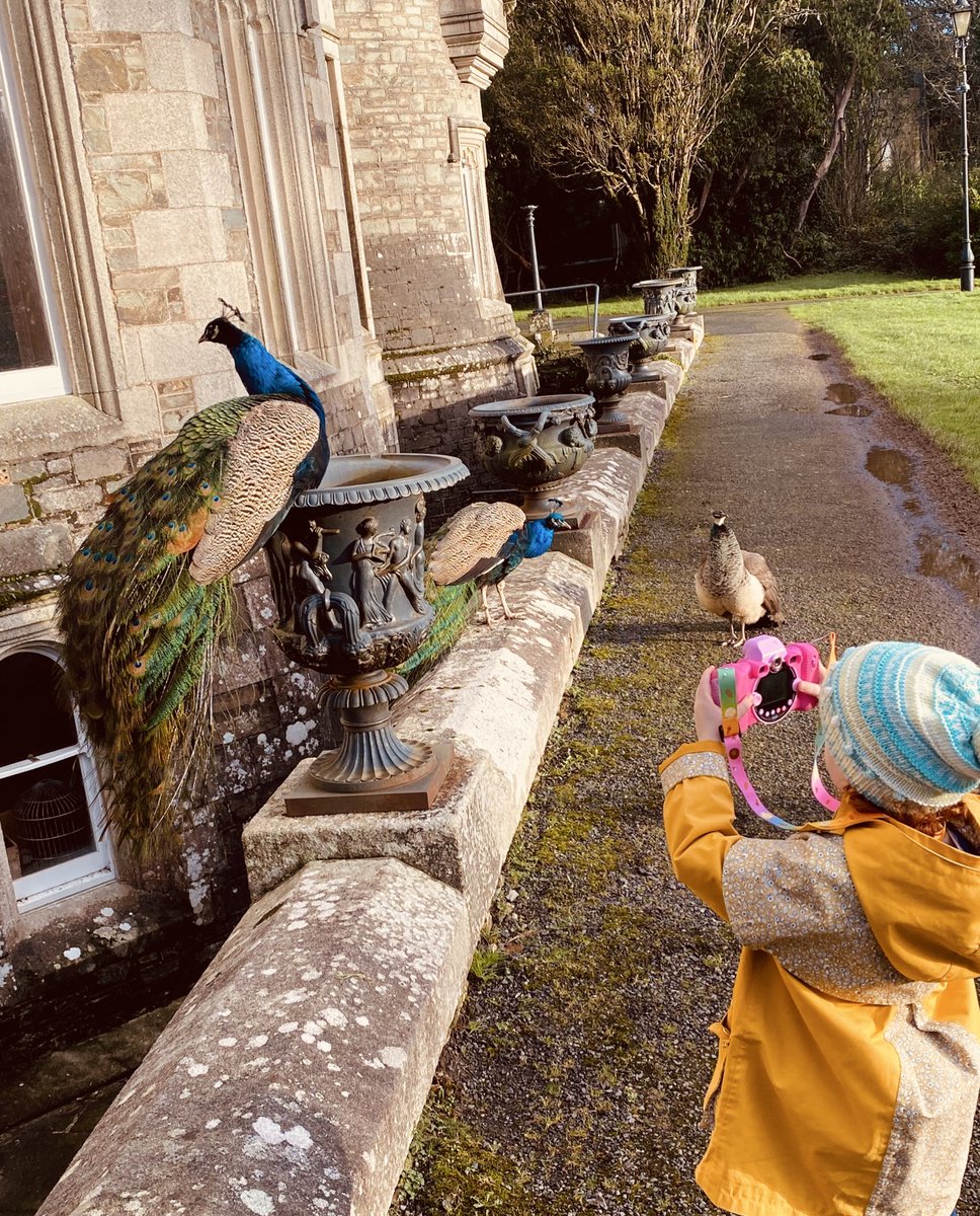 Pádraig Byrne tweet media