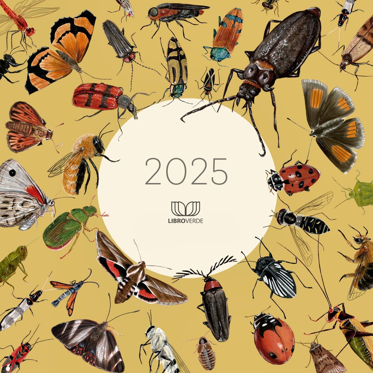 Este 2025 tendremos ediciones vibrantes, llenas de zumbidos, de viajes antárticos, de flores del desierto, de bosques de alerce milenario y de la montaña más alta de América.

Feliz nuevo año de naturaleza.

#LibroVerde #EdicionesLibroVerde