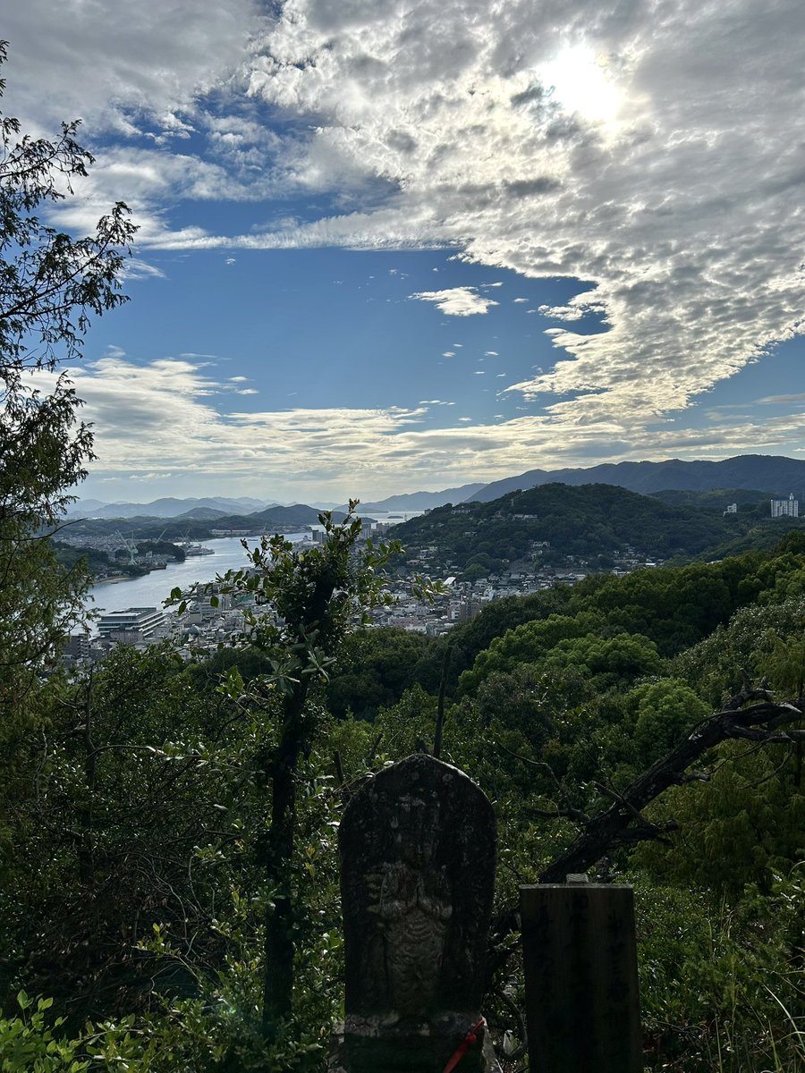 けんたろ🕊️ tweet media