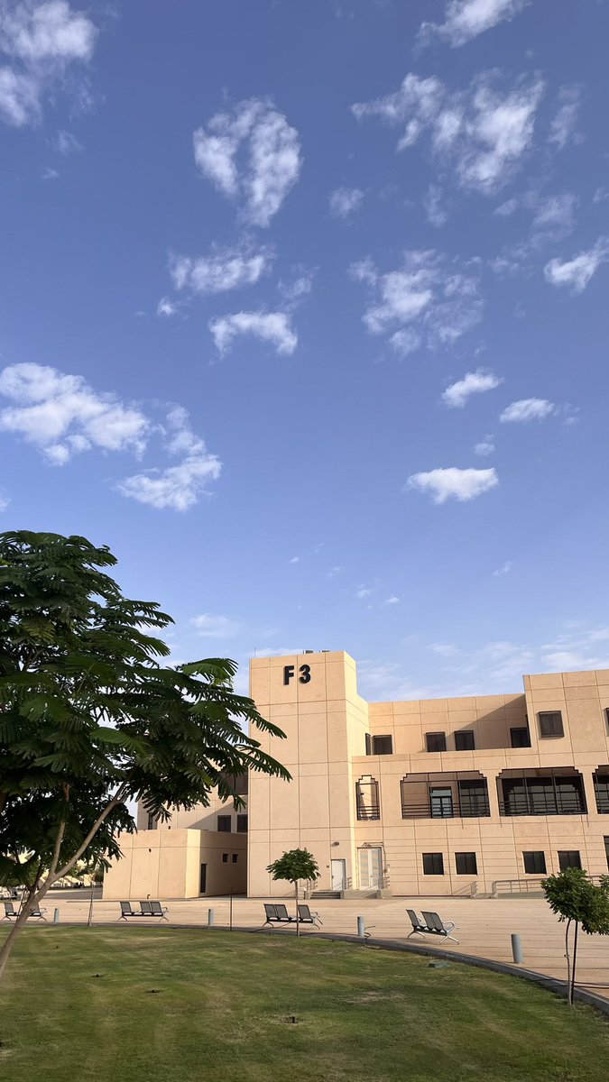 الرباب • tweet media