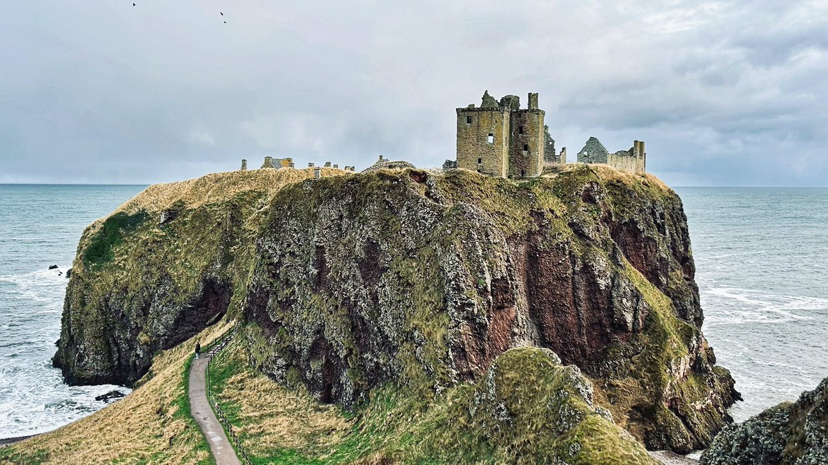 Rob Wicks tweet media