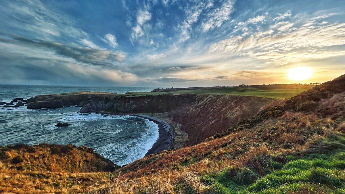 Rob Wicks tweet media