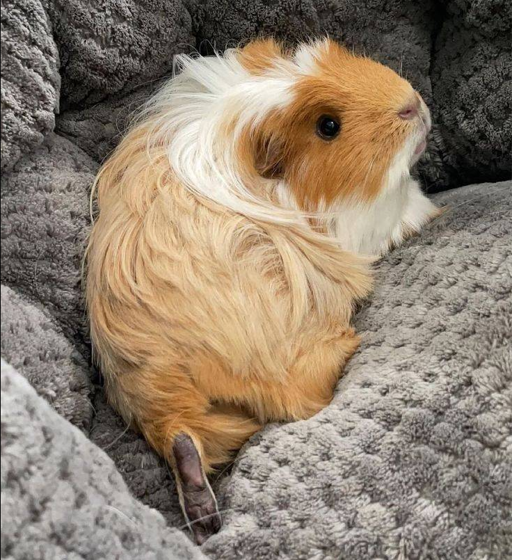 Today is my birthday hope I get some love here