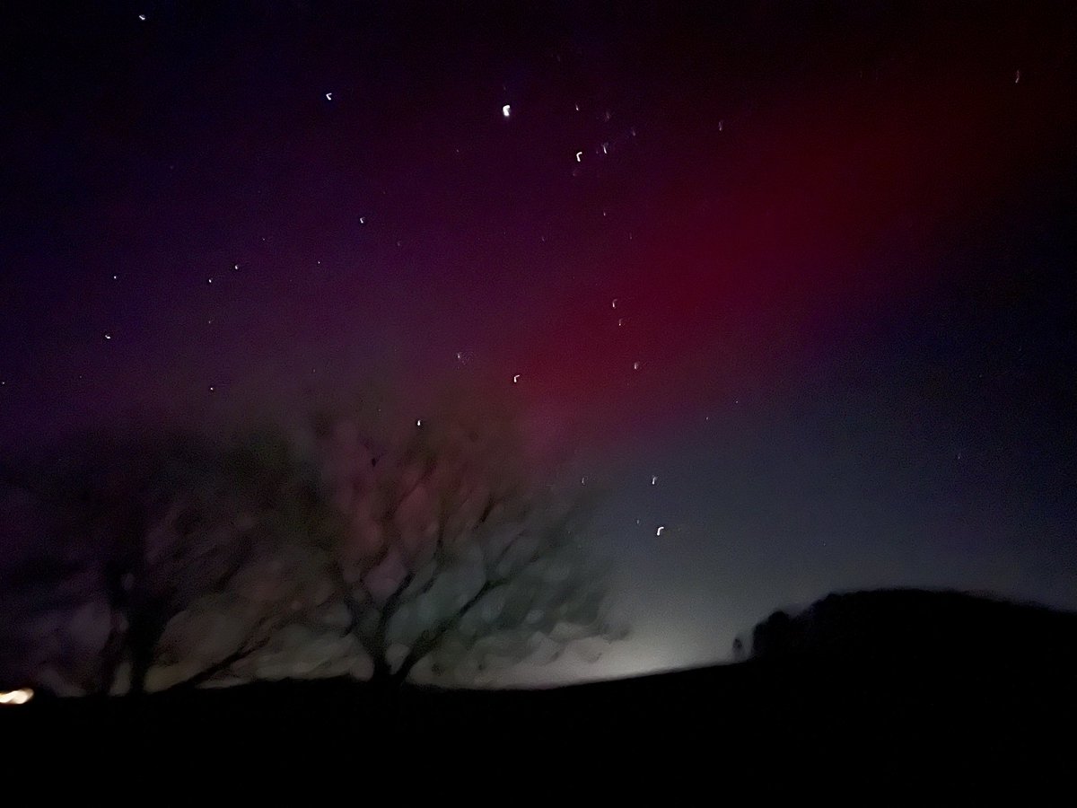 Anna Curnow tweet media