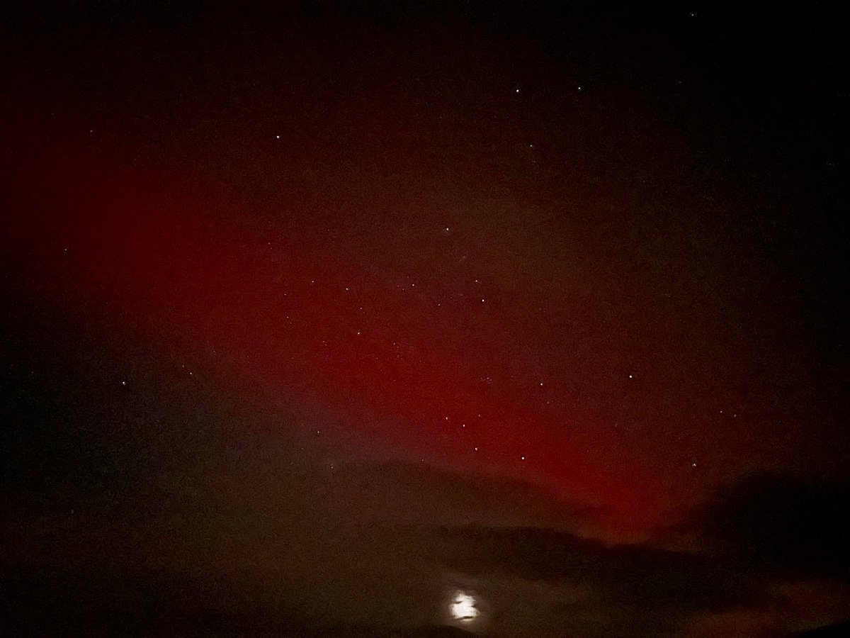 Anna Curnow tweet media