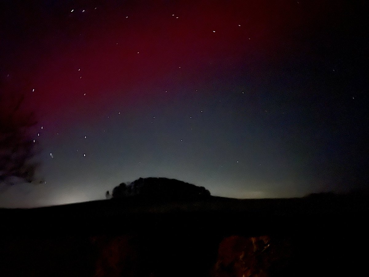 Anna Curnow tweet media