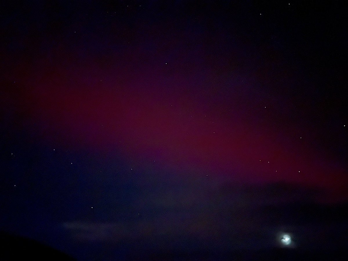 Anna Curnow tweet media