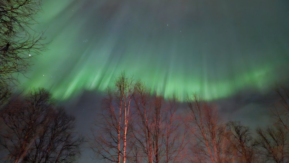 Laffman_'s tweet photo. First Aurora 2025 https://t.co/qrxdZJfm1h