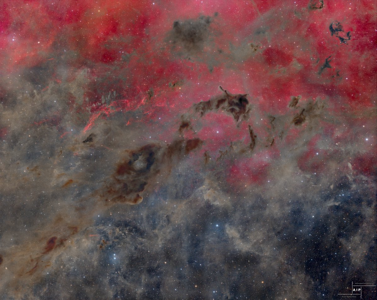 LDN1400, una nebulosa oscura en la constelación de Camelopardalis. Son 110h de exposición en LRGB y Ha.
Sacadas en Noviembre y Diciembre desde el observatorio.
La zona superior está llena de Ha y  parece que flotan las nubes oscuras de polvo.
En grande: aipastroimaging.com/wp-content/upl…