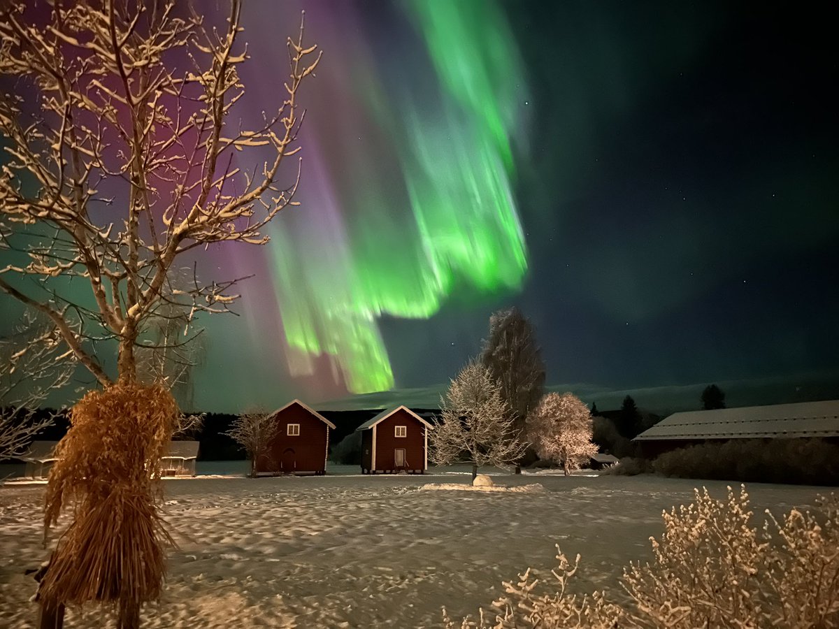 Tollef Mykleby tweet media