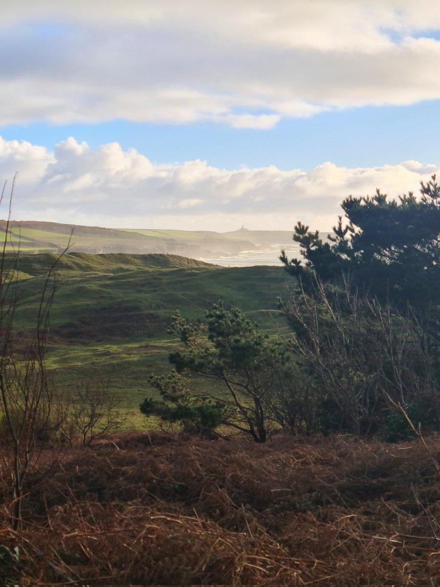sinead_crowley's tweet photo. Into the West at #Longstrand 🌊🌿♡

#WestCork #Castlefreke #walking #freshair #NewYear2025 #NewYear
@TheFishBasket @CleanCoasts @GetIreWalking @pure_cork https://t.co/hgEWNdhYc7