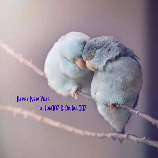 time4kind's tweet photo. @JoeBiden ·   ⭑  Happy New Year #Joe007 &amp; #DrJill007  ⭑ 
·                  most of eARTh is Art ·   
·                       Cherish your dear days · 
·                              Keep your heARTs bright · https://t.co/Wy57AqNLnt